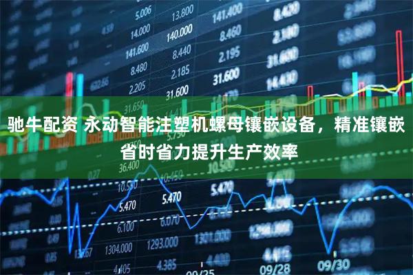 驰牛配资 永动智能注塑机螺母镶嵌设备，精准镶嵌 省时省力提升生产效率