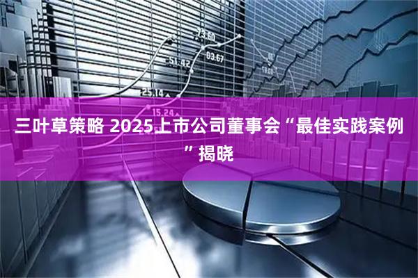 三叶草策略 2025上市公司董事会“最佳实践案例”揭晓