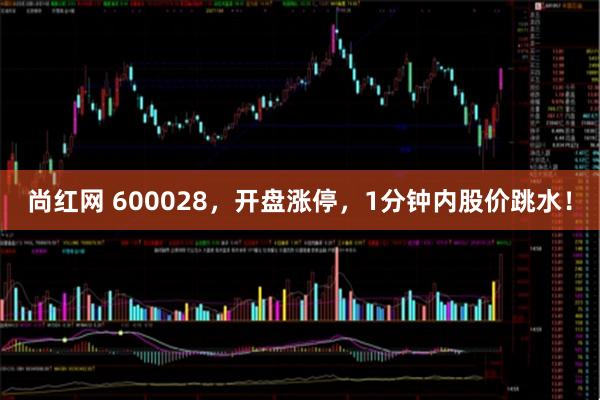 尚红网 600028，开盘涨停，1分钟内股价跳水！
